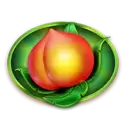 icon 5