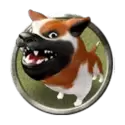 icon 9