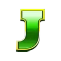 icon 9