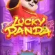 Lucky Panda