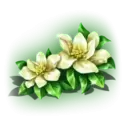 icon 4
