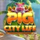 Pig City Life