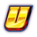 icon 13