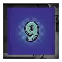 icon 13