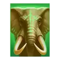 icon 5