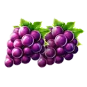 icon 4