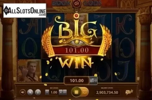 Big Win. Book of Gods (BF games) from BF games