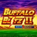 Buffalo Blitz II