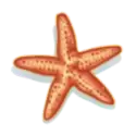 icon 4