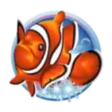 icon 2