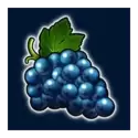 icon 4
