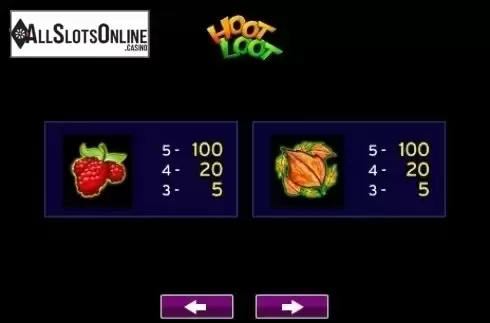 Paytable 4. Hoot Loot from High 5 Games