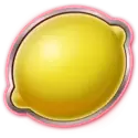 icon 10