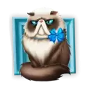 icon 4