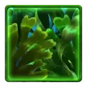 icon 10