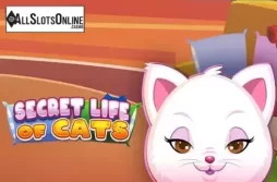 Secret Life of Cats