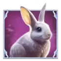 icon 4
