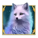 icon 10