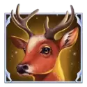 icon 1