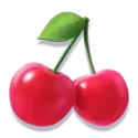 icon 9