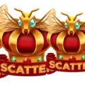 Bonus Buy Free Spins Feture