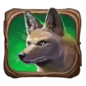 icon 5