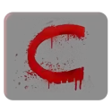 icon 13