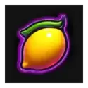 icon 5