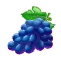 icon 4