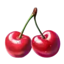 icon 5