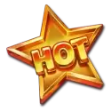 icon 9