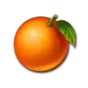icon 6