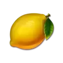 icon 7