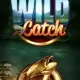 Wild Catch