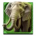 icon 2