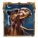 icon 3