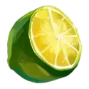 icon 6
