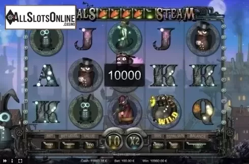 Big win screen. Animals Steam from Thunderspin