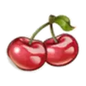icon 6