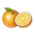 icon 5