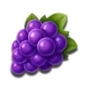 icon 6