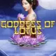 Goddess Of Lotus 10 Lines