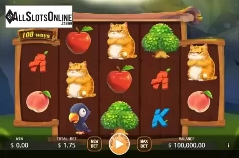 Reel screen