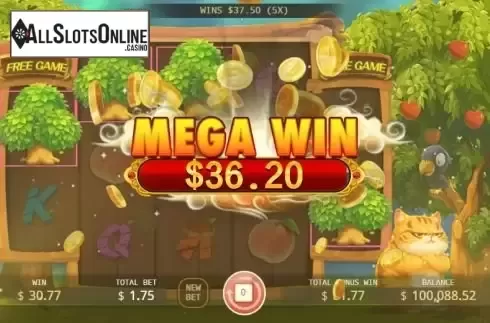 Mega Win