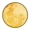 icon 12
