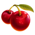 icon 5