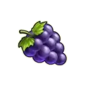 icon 5