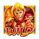 icon 9