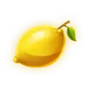 icon 9