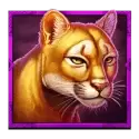 icon 5